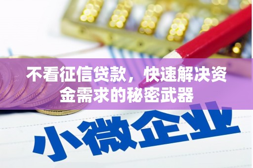 吉利不看征信贷款，快速解决资金需求的秘密武器