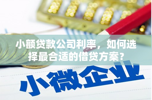 吉利小额贷款公司利率，如何选择最合适的借贷方案？