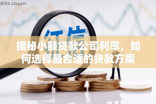 吉利揭秘小额贷款公司利率，如何选择最合适的贷款方案