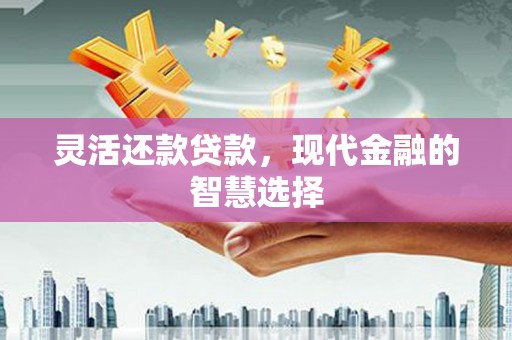 吉利灵活还款贷款，现代金融的智慧选择