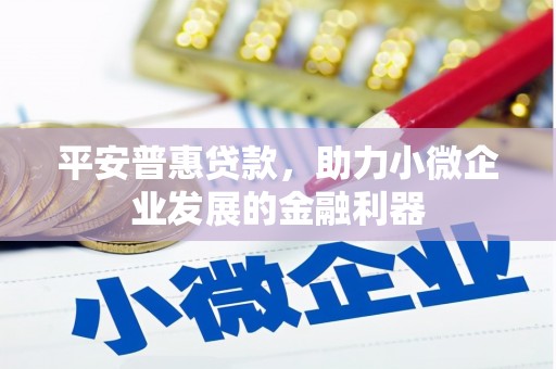 吉利平安普惠贷款，助力小微企业发展的金融利器