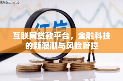 吉利互联网贷款平台，金融科技的新浪潮与风险管控