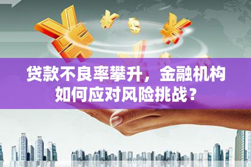 吉利贷款不良率攀升，金融机构如何应对风险挑战？