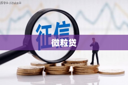 吉利微粒贷