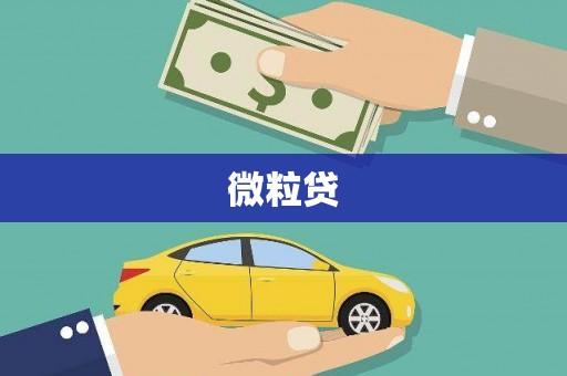 吉利微粒贷