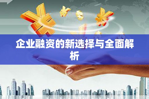 吉利企业融资的新选择与全面解析