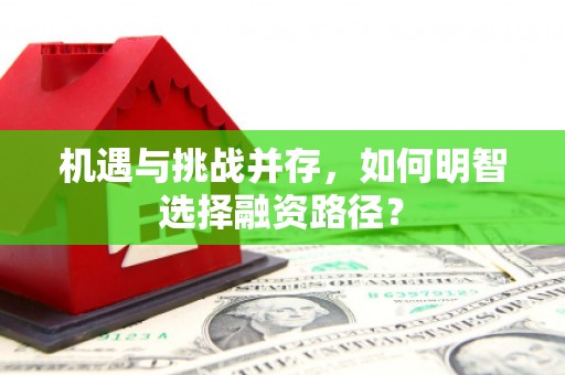 吉利机遇与挑战并存，如何明智选择融资路径？